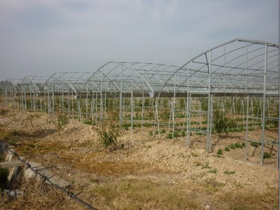 源农温室 专业温室大棚销售、安装与维修服务