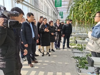 2020年青岛市“冬季农技暖阳行动”启动 设施农业新技术现场观摩会成功举办