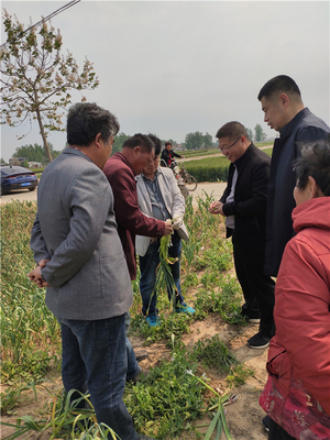 植保无人机统防统治助力脱贫攻坚